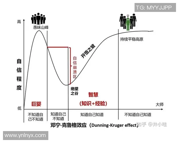 投注行为数据分析探讨大众心理与认知偏差的深层次联系与影响